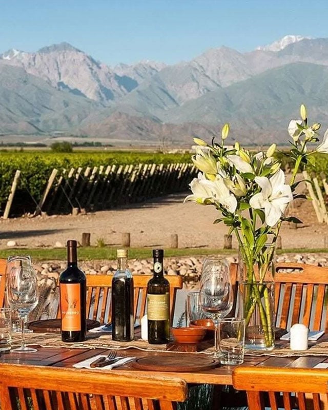 Dining table set in a vineyard with wine bottles, glasses, and flowers, featuring mountains in the background, highlighting luxury living and ownership opportunities in picturesque locations.