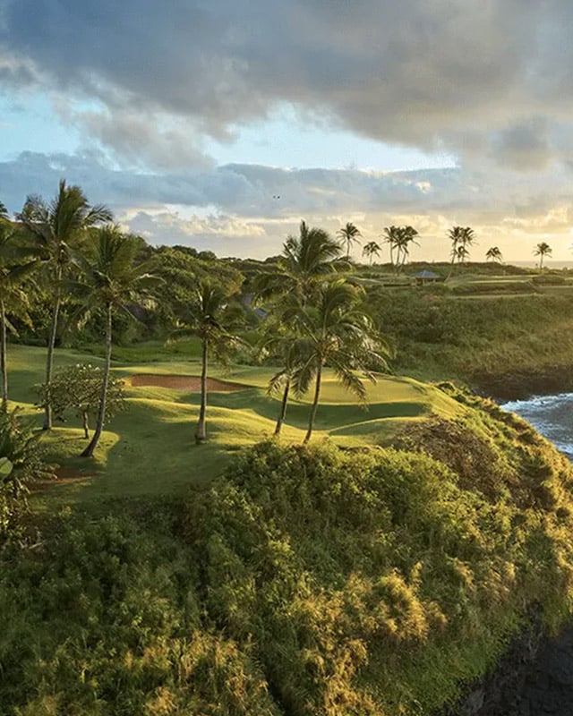Lush coastal landscape featuring palm trees and a golf course overlooking the ocean, highlighting luxury real estate opportunities in tropical settings.